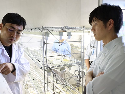 ゲノム編集について説明を受ける鈴木農林水産副大臣