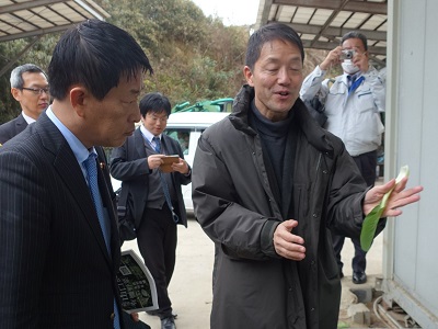 廃棄野菜の活用について説明を受ける武村農林水産副大臣