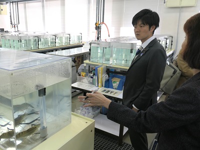 エビ養殖施設を視察する鈴木農林水産副大臣