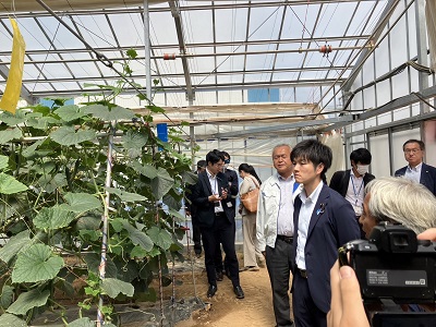 南相馬市内できゅうりの栽培ハウスを視察する鈴木農林水産副大臣