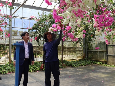 観光農園で地下ダムの水を活用した農園展開の説明を受ける武村農林水産副大臣