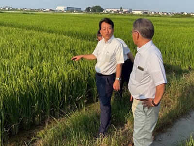 ほ場を視察する笹川農林水産副大臣（中央）