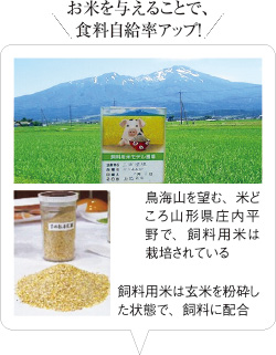 お米を与えることで、食料自給率アップ!