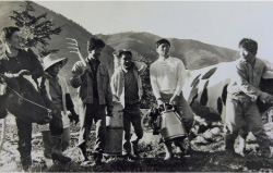 町から借りた50haの土地で、収益率のよいシクラメン栽培と酪農を組み合わせてスタート