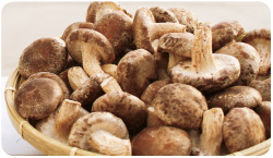 「いわきゴールドしいたけ」は、肉厚でジューシー。天ぷらにしたり、焼いたりするのがおすすめだそう