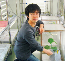 「ナミテントウの世話が日課」という、（独）農研機構近畿中国四国農業研究センターの世古智一さん