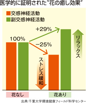 医学的に証明された〝花の癒し効果〞
