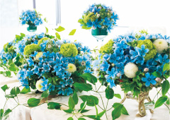 花き産業と花きの文化の振興を図るため、「花きの振興に関する法律」が施行されました