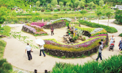 花き産業と花きの文化の振興を図るため、「花きの振興に関する法律」が施行されました