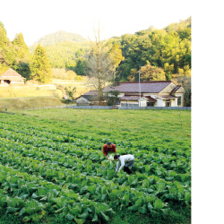 活動の拠点とするのは、廃校となった「貴和小学校」。この学校は、明治時代にお坊さんが建てたことから「貴とうとい和尚」にちなんで命名され、「貴和の里」もその名を受け継ぐ。山あいの畑には牛がのんびり草をはむ姿もあり、日本の原風景が広がる