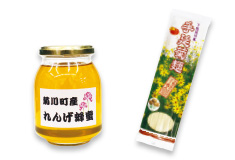 道の駅 きくがわ