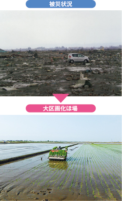 被災状況/大区画化ほ場