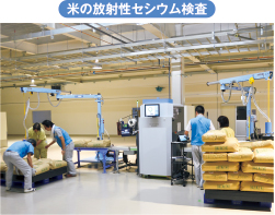 米の全袋検査(福島県全域で実施)