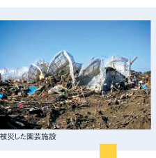 被災した園芸施設