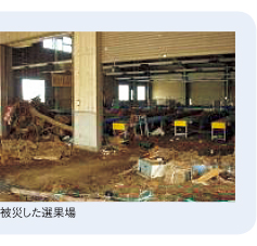被災した選果場