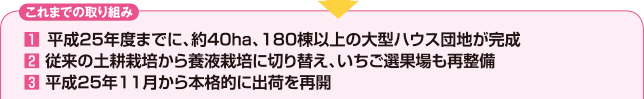 これまでの取り組み