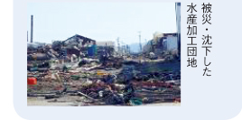被災・沈下した水産加工団地