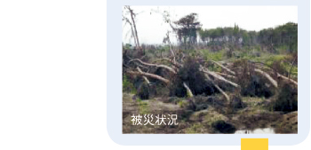 被災状況