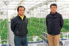 いわき市で実証研究に取り組む、(株)いわき花匠の社長の菅野英夫さん(左)と専務の猪狩広生さん(右)