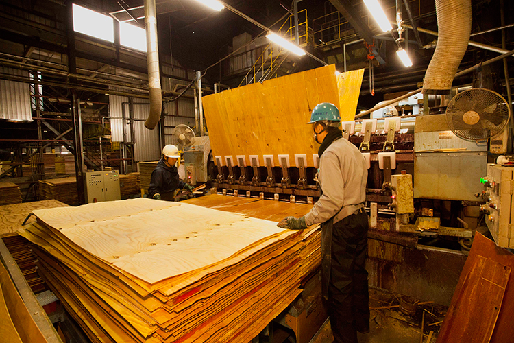 接着剤を塗って乾燥させた薄板を重ね合わせる。その後、9枚ずつ加熱しながら圧着し、左右を規格どおりに裁ち落として合板が完成