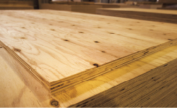 住宅建築で耐力壁や床板の下地として使われる構造用合板。厚さ24mm。国産材は節があるのが特徴