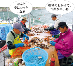 耳の穴にピンを通す作業は手作業で行うが、耳あけ機があけた穴は「位置決め」が完璧なので、以前に比べ、ずっと簡単に通すことができる