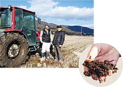 「26年産は、昨年同様、約8000袋の米すべてが一等米。土づくりの成果です」と吉弘さん