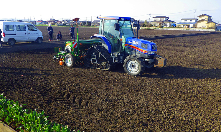 「乾田直播」を行った面積は、平成24年時点で60a。毎年、少しずつ拡大している