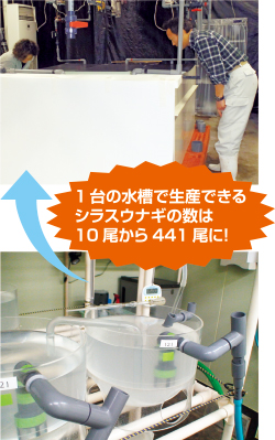 従来の小型水槽は、10ℓと小さく、生産できるウナギの数も約10尾と少なかった。また、水の交換など飼育の手間がかかり、高価なボウル水槽も必要だった