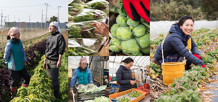 一歩踏み出そう! 憧れの農業へ