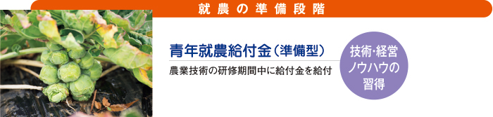 就農の準備段階