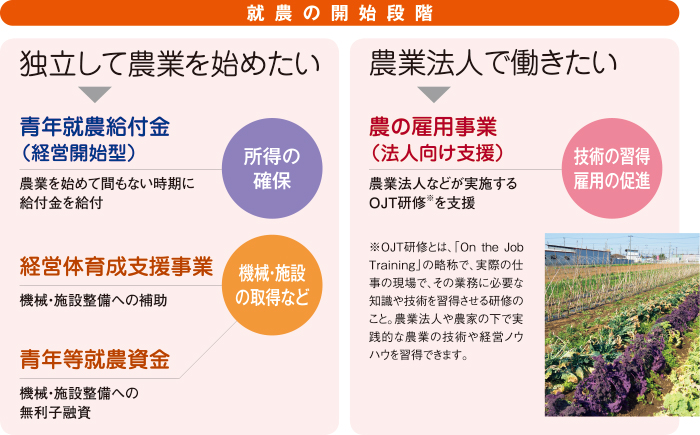 就農の開始段階