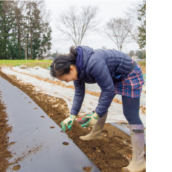 トウモロコシ「ゴールドラッシュ」の種を植える土橋さん。就農してから作業着はいつもズボンで飽き飽きしていたとか。最近は畑でもスカートをはくことも