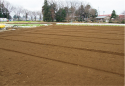 鶴ヶ島市内の約40aの畑。少量多品目を作付けしていたときは、年間で40~50品目の野菜を栽培していた