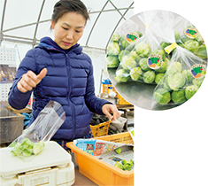 収穫した芽キャベツを袋詰めして直売所へ。この作業に時間がかなりかかる