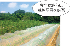 自分の裁量で経営できるのが農業のおもしろさです。栽培方法を変えてみたり、消費者の動向を見ながら作付け品目を選んだりと工夫しだいで仕事も人間関係も広がります。