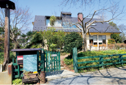 「タンジョウファームキッチン」の営業日は毎週木曜から日曜。営業時間は11時30 分~17時。