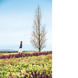 季節の花が咲き誇る丘で心をリフレッシュ