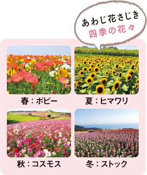 あわじ花さじき 四季の花々