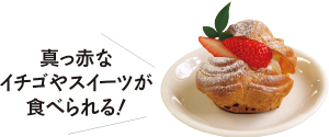 真っ赤なイチゴやスイーツが食べられる!