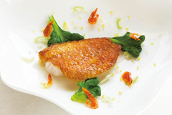 キンキのブイヨン仕立て 桜海老の香りの写真