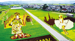 2つの水田にさまざまな絵柄