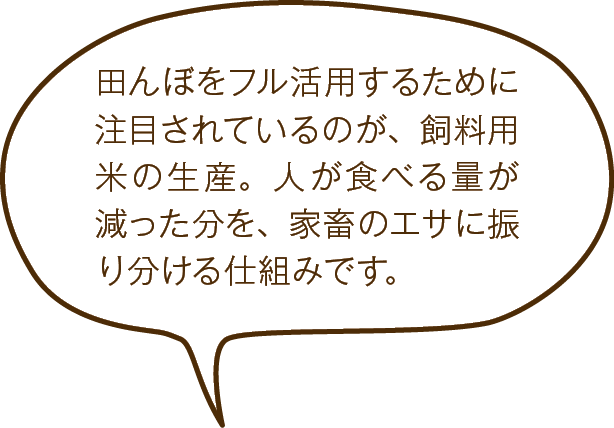 田んぼをフル活用するために注目されているのが、飼料用米の生産。人が食べる量が減った分を、家畜のエサに振り分ける仕組みです。