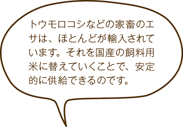 トウモロコシなどの家畜のエサは、ほとんどが輸入されています。それを国産の飼料用米に替えていくことで、安定的に供給できるのです。