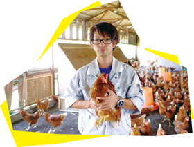 トキワ養鶏・三浦祐哉主任の写真