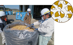 粉砕した生もみに水と乳酸菌を加えて密封し、発酵させた飼料の写真