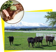 市営牧場の「ゆり高原ふれあい農場」の写真