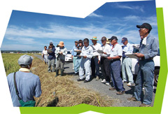 メンバー全員でほ場を視察している写真