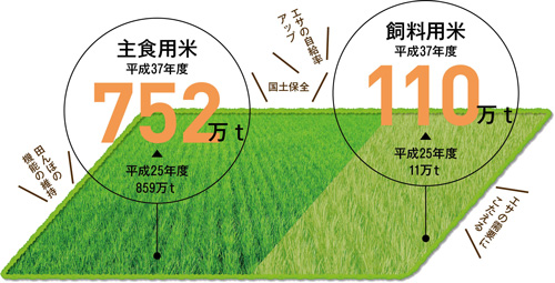 田んぼの機能の維持。国土保全。エサの自給率アップ。エサの需要にこたえる。 主食用米 平成37年度752万トン←平成25年度 859万トン。 飼料用米 平成37年度110万トン←平成25年度11万トン。
