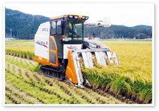 稲の刈り取り作業の写真